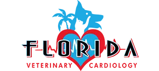 Florida Veterinary Cardiology